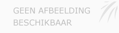 Afbeelding › SoundClash